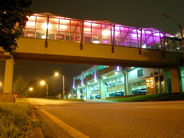 DSC03693MTA.JPG