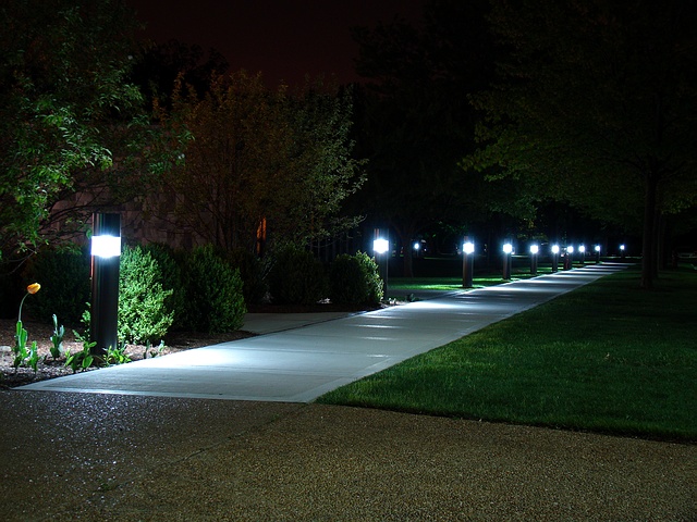 DSC08792Bollard.JPG