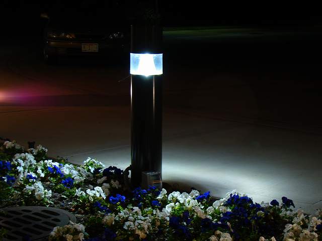 DSC08831Bollard.JPG