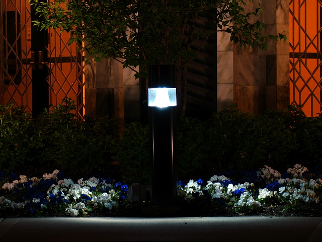 DSC08844Bollard.JPG